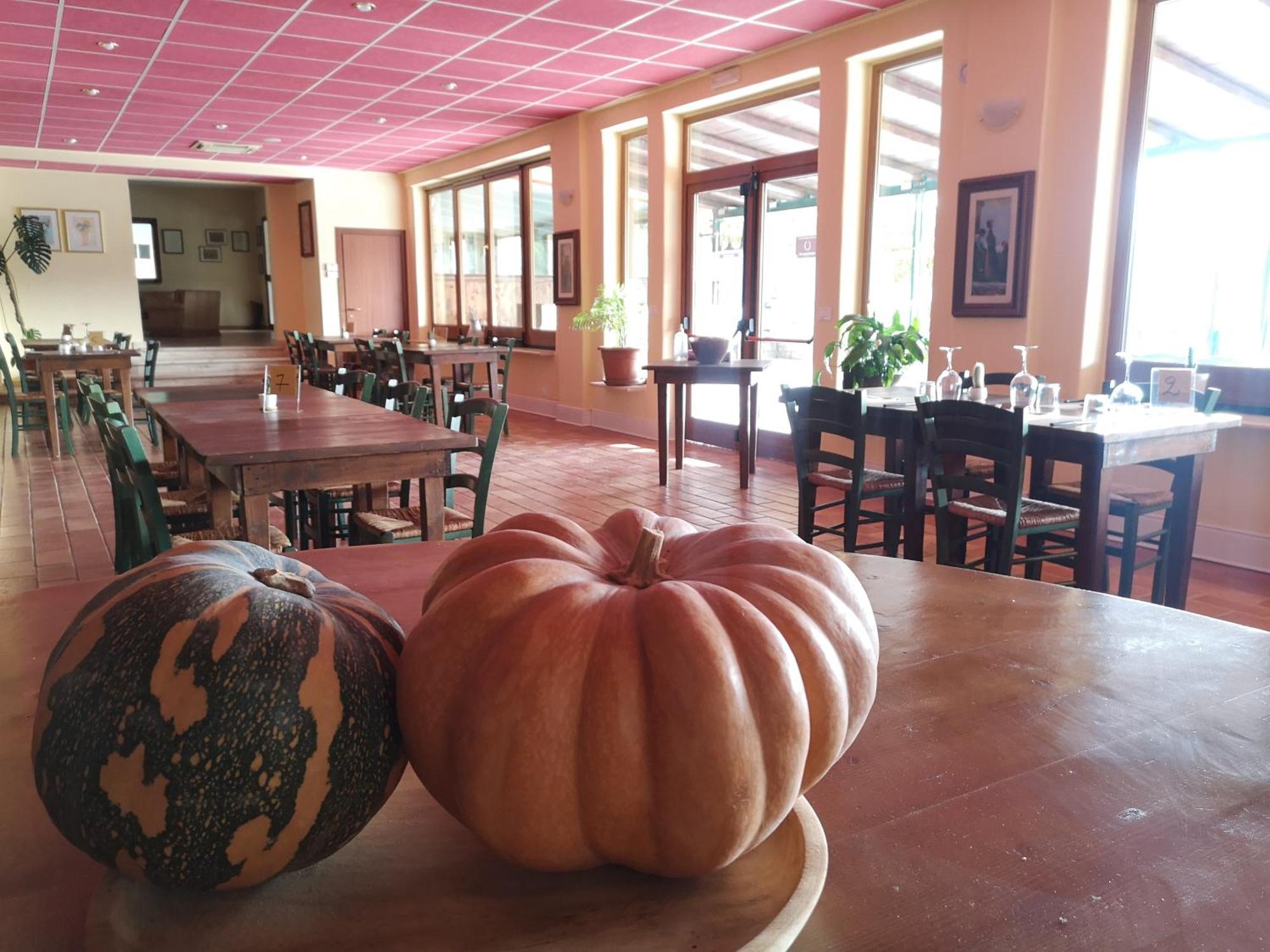 Agriturismo Olimpo Villa Santa Maria  Exterior foto